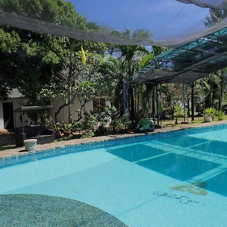 White Chocolate Hills Resort Zamboanguita  Eksteriør bilde